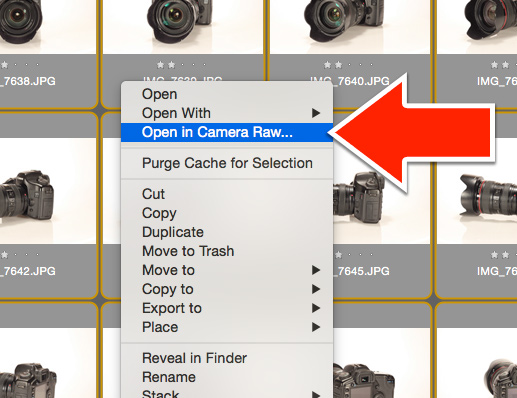 025 open in camera raw